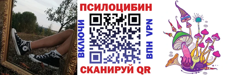 купить наркотики сайты  Омутнинск  Галлюциногенные грибы Psilocybe 